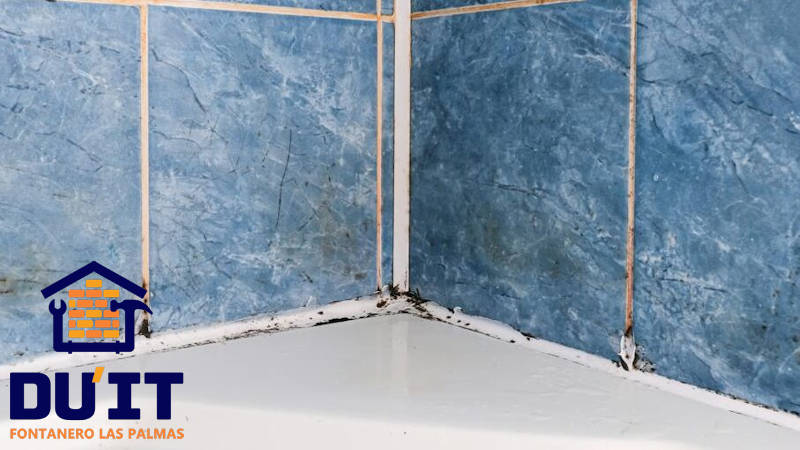 Cómo prevenir el moho en el baño o quitarlo si ya ha aparecido